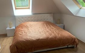 Guesthouse Business & Leisure Stay